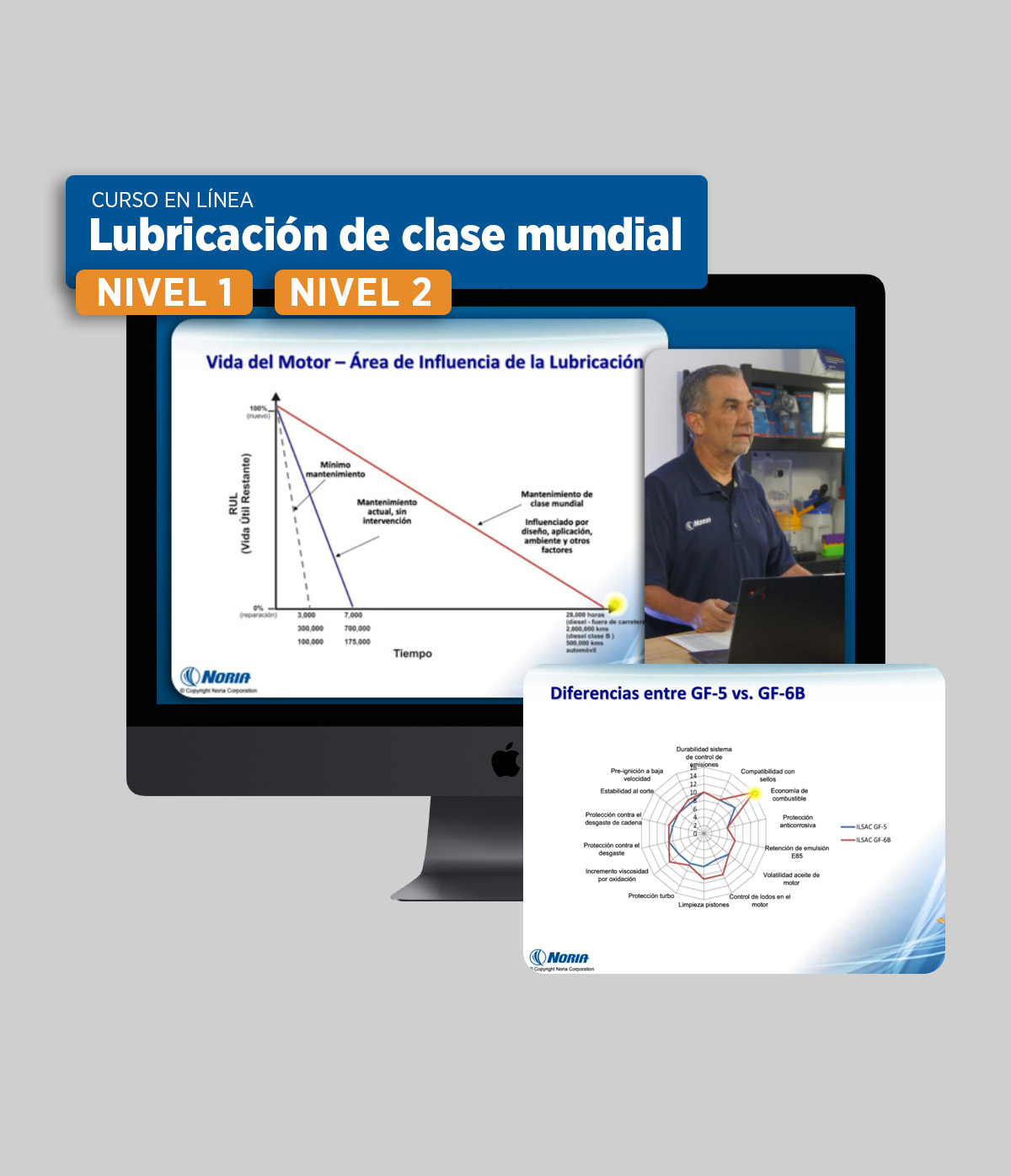 Paquete de cursos en línea: Lubricación de clase mundial nivel 1 y 2 Paquete de cursos en línea: Lubricación de clase mundial nivel 1 y 2