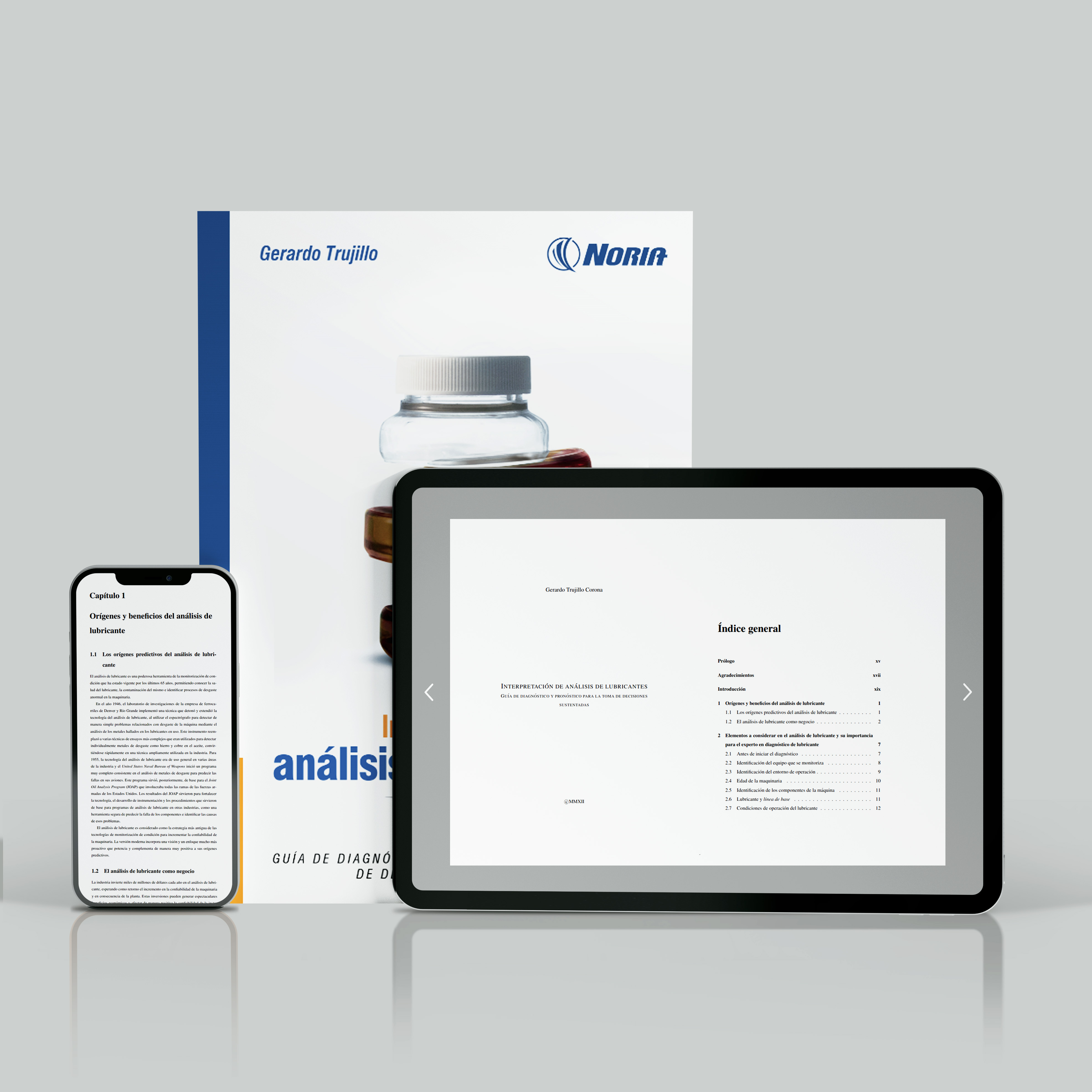 Libro digital - Interpretación de análisis de lubricantes: Guía de diagnóstico y pronóstico para la toma de decisiones sustentadas