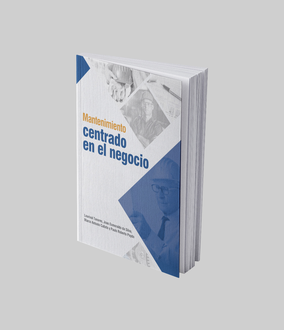 Libro impreso: Mantenimiento centrado en el negocio Libro impreso: Mantenimiento centrado en el negocio