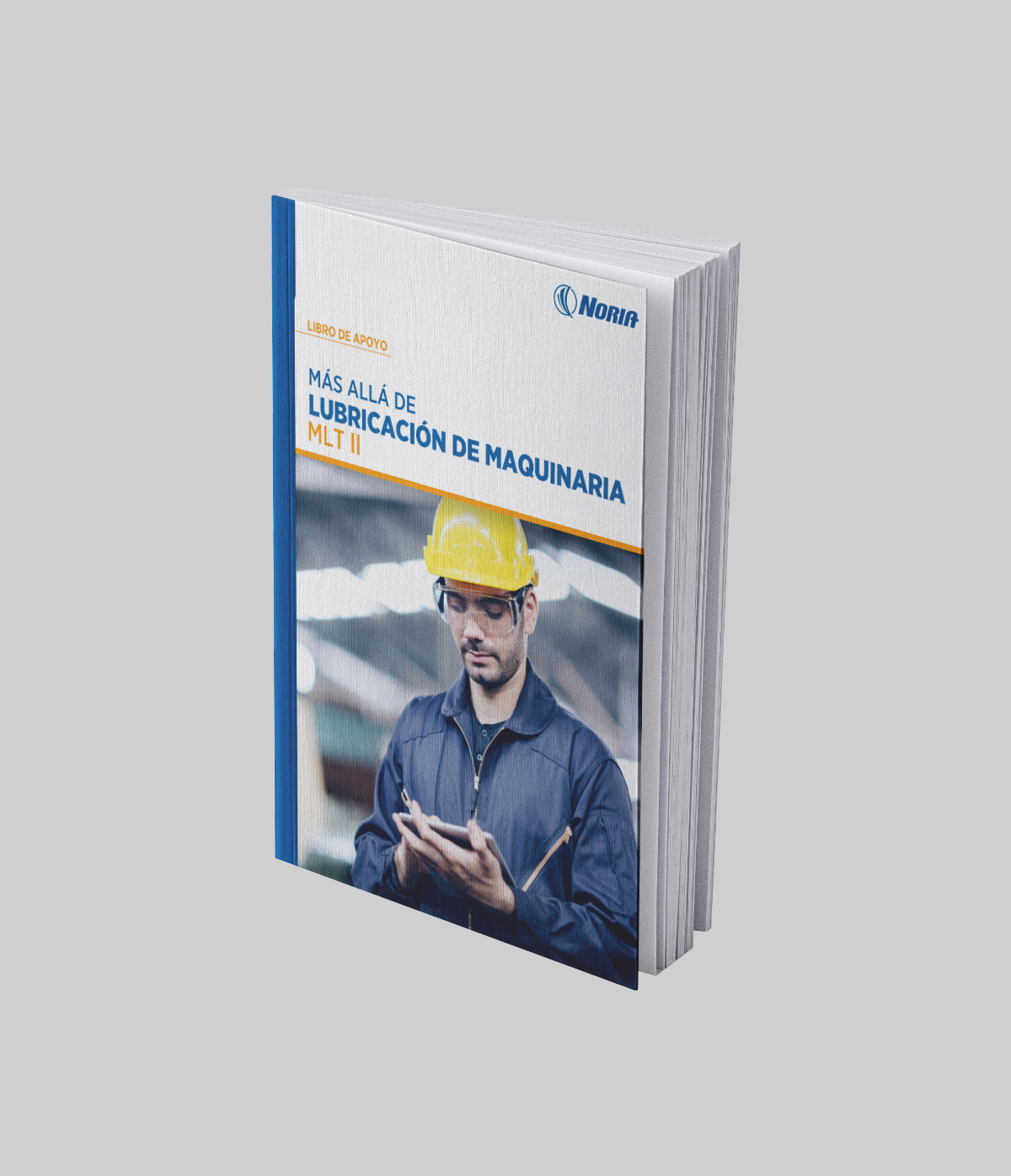 Libro impreso: Apoyo MLT II